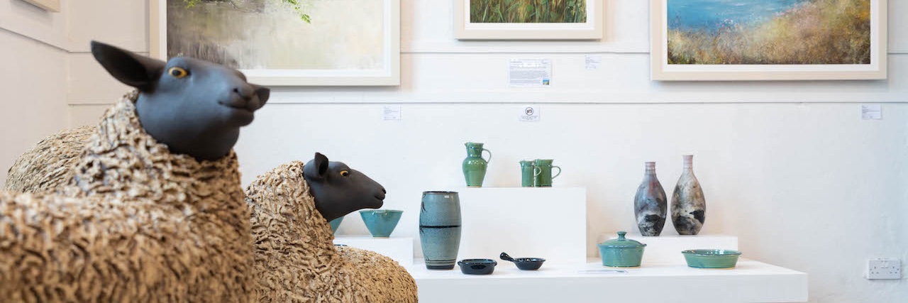 MidCornwallGall's profile banner image