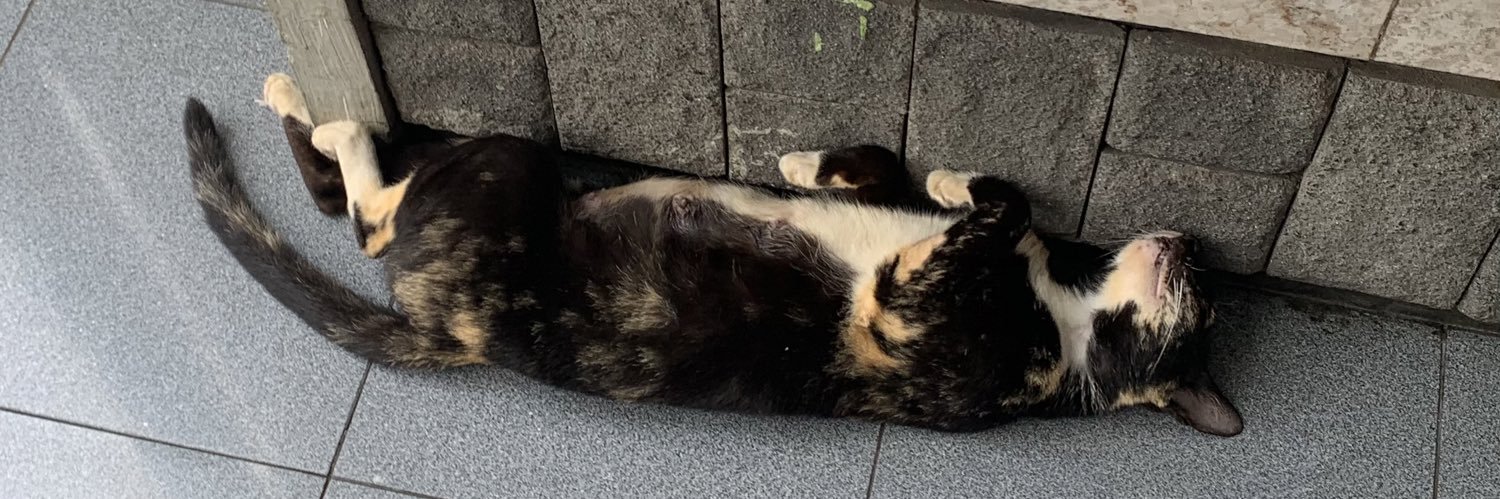 เซลซ่า banner