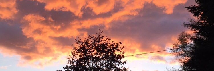 jes_lawson's profile banner image