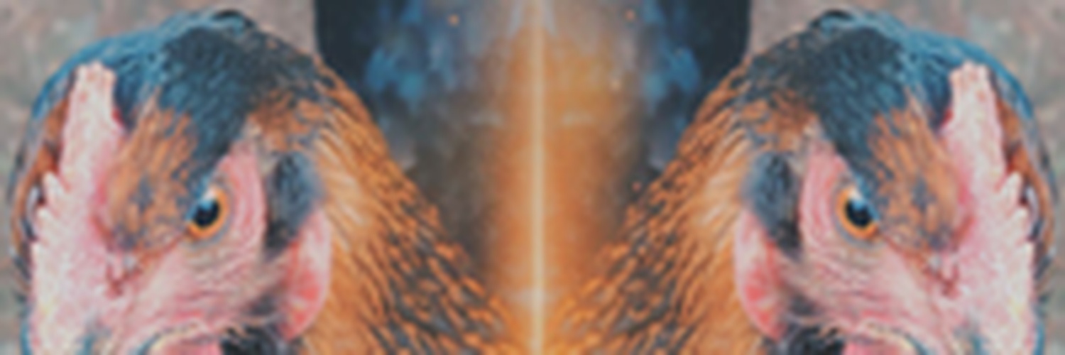 theflorencvi's profile banner image