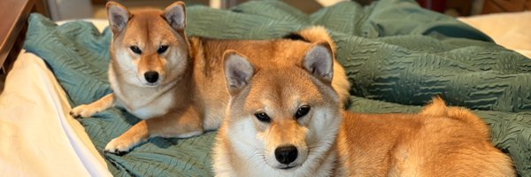 SulisMinerva_ Profile Banner