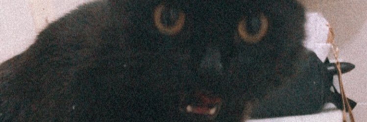 duddssnts's profile banner image