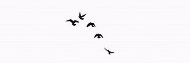 Banan_tur's profile banner image