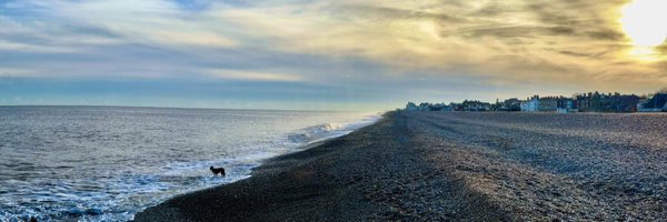 roseandfriends Profile Banner