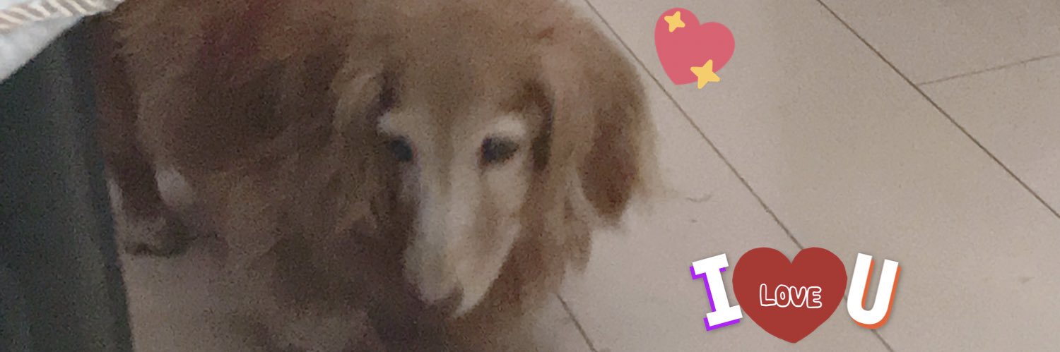Homuu_'s profile banner image