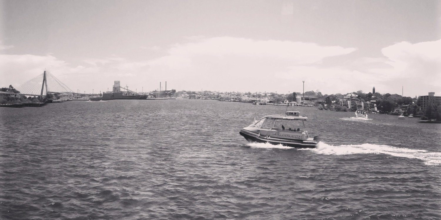 pinesfield's profile banner image