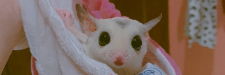 asriedlestari's profile banner image