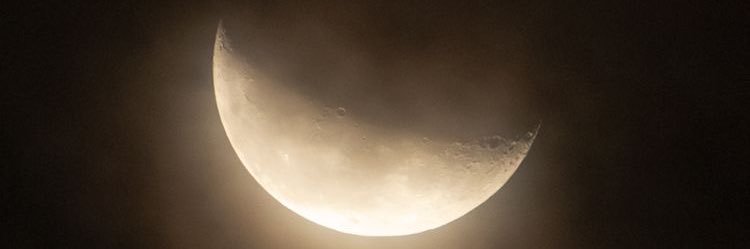 𝖑𝖎𝖙𝖔🇵🇸 banner