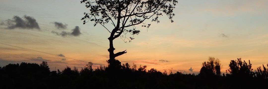 muhammadizrin94's profile banner image