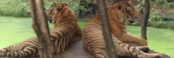 Harimenons01 Profile Banner