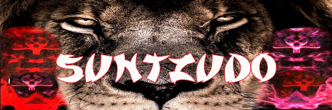 SunTzuDo's profile banner image