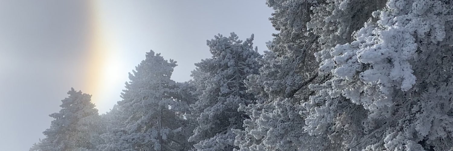 MariAranda95's profile banner image