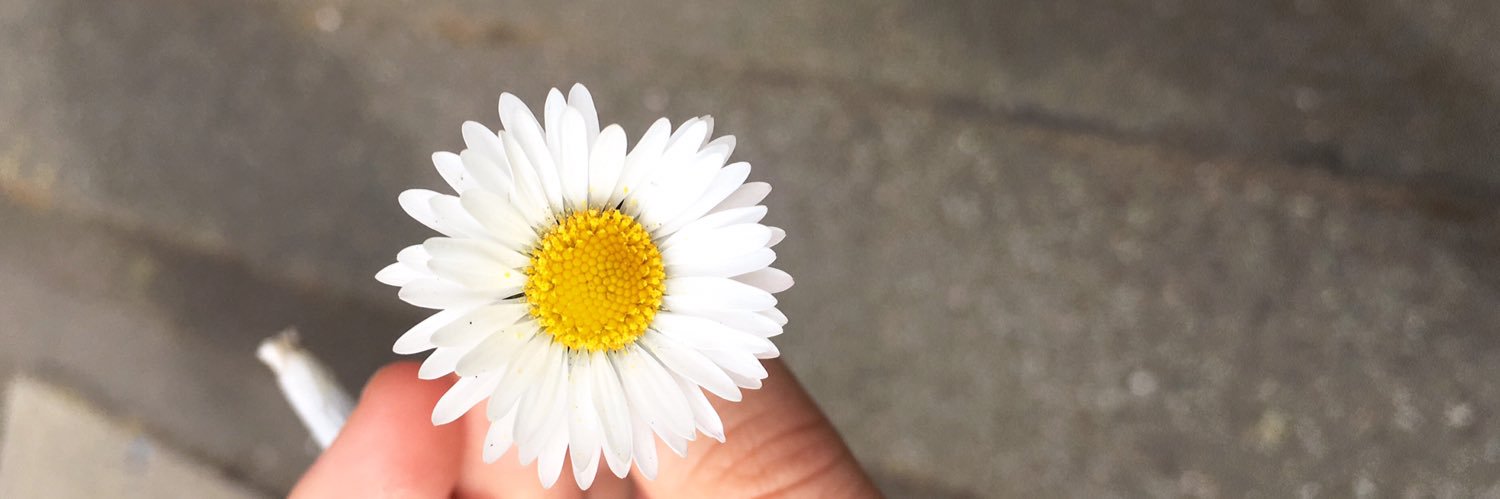 helenncarter's profile banner image