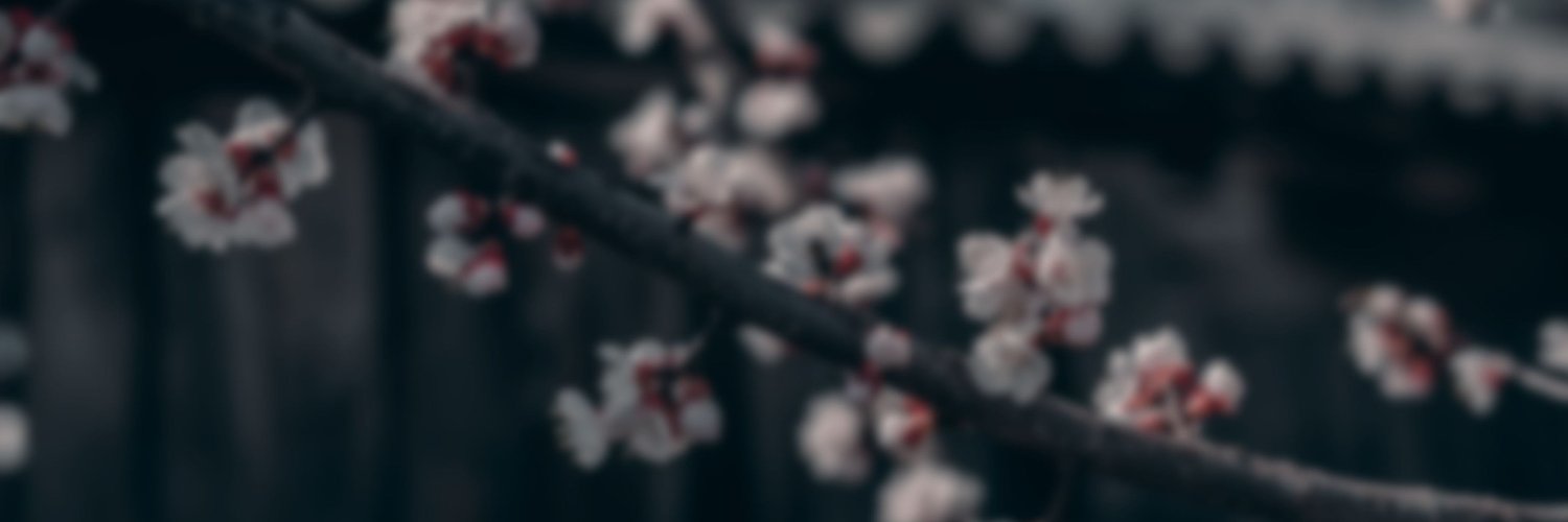 Dragoncastle100's profile banner image