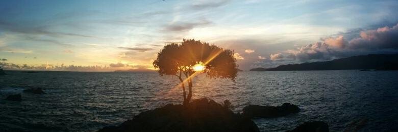 mydey's profile banner image