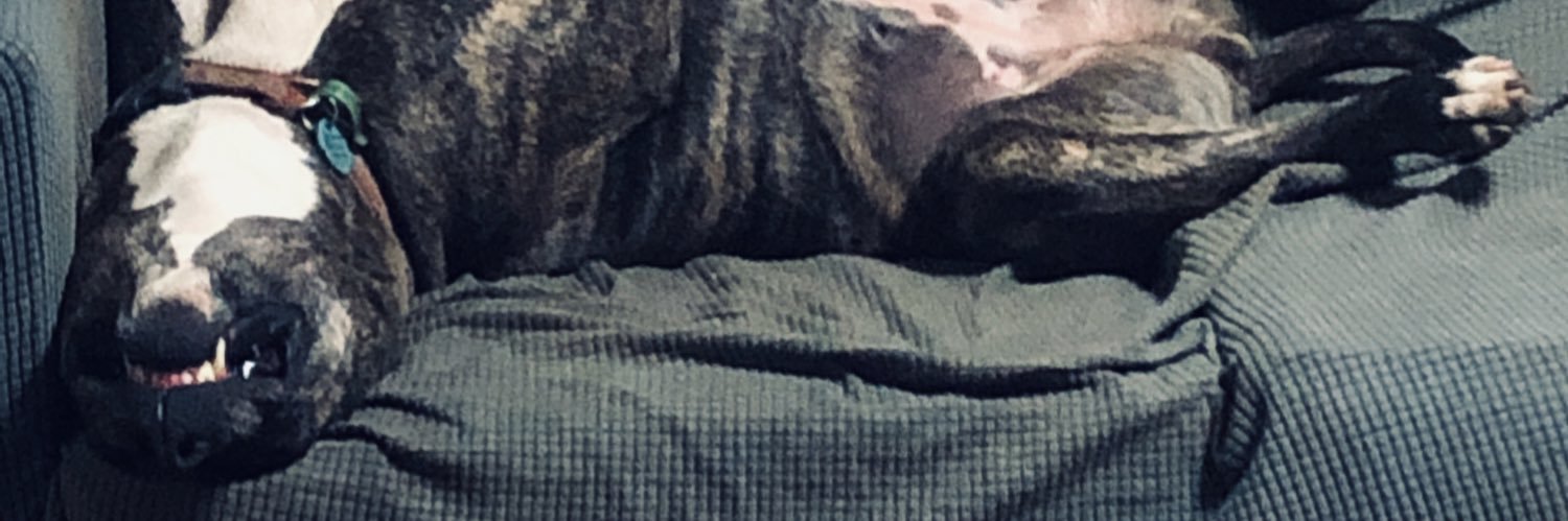 howlinatthehole's profile banner image