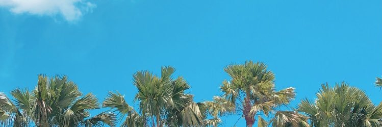 rynoDGM's profile banner image