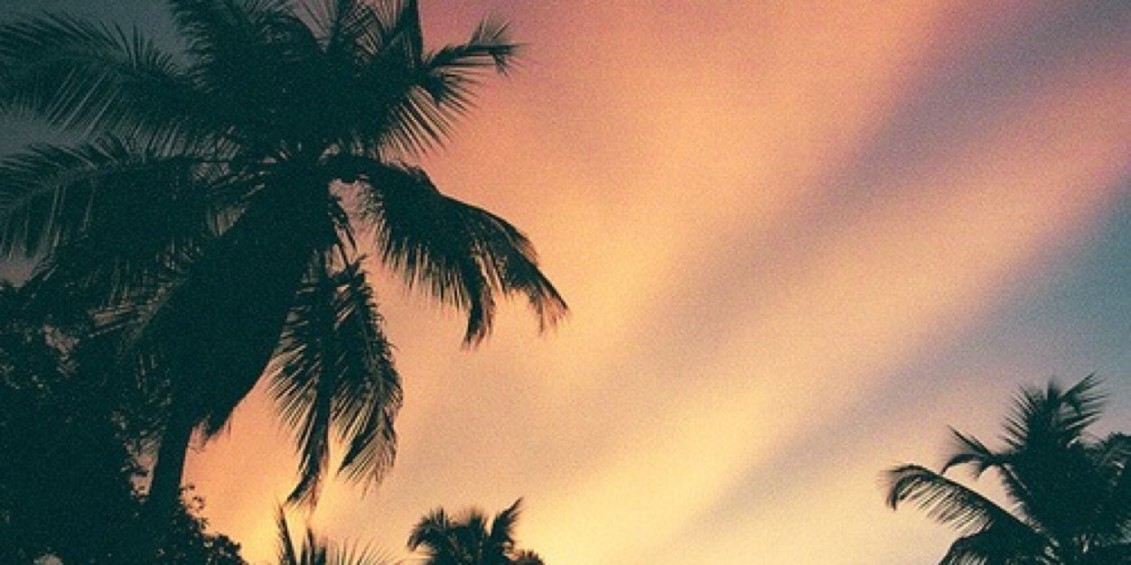 DriessenTessa's profile banner image