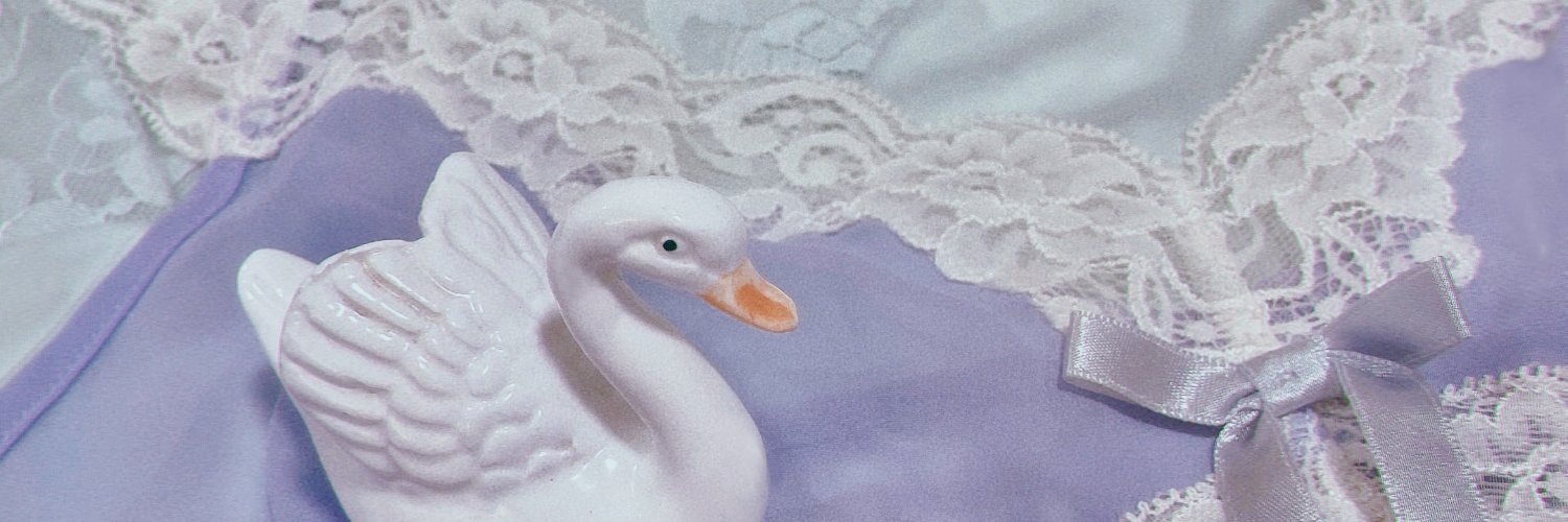 ladiesatin's profile banner image