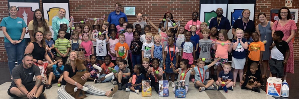 Faye Williams banner