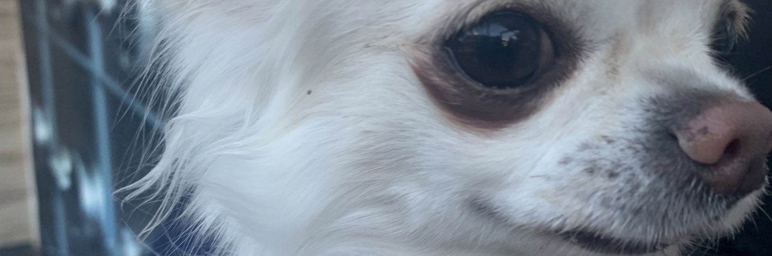paugve's profile banner image