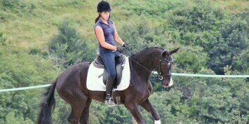 DanielaSnchez18's profile banner image