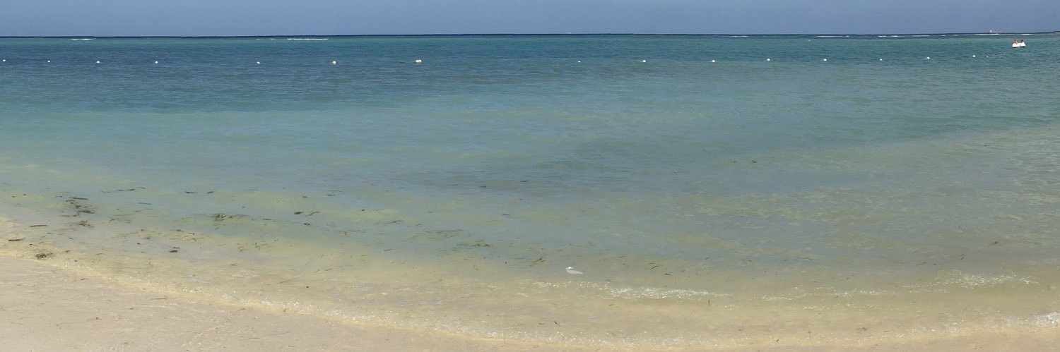 hannahhardy02's profile banner image
