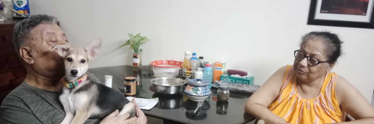 simplesonali's profile banner image