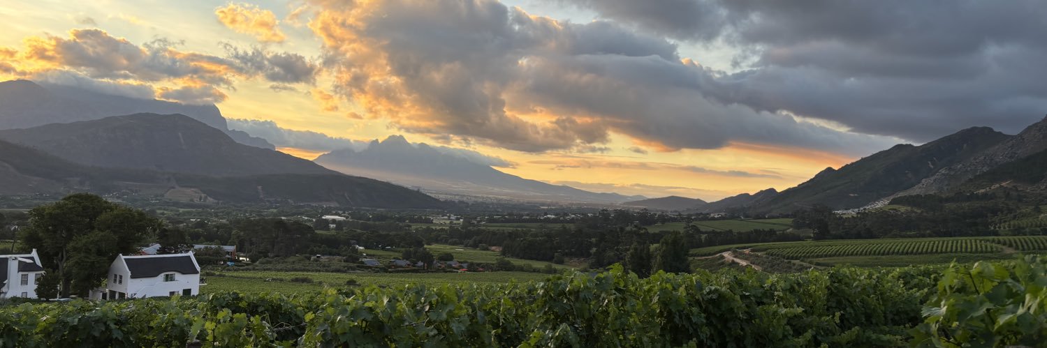 rick mathijssen banner