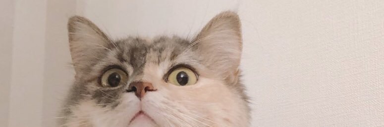 rokubute69's profile banner image