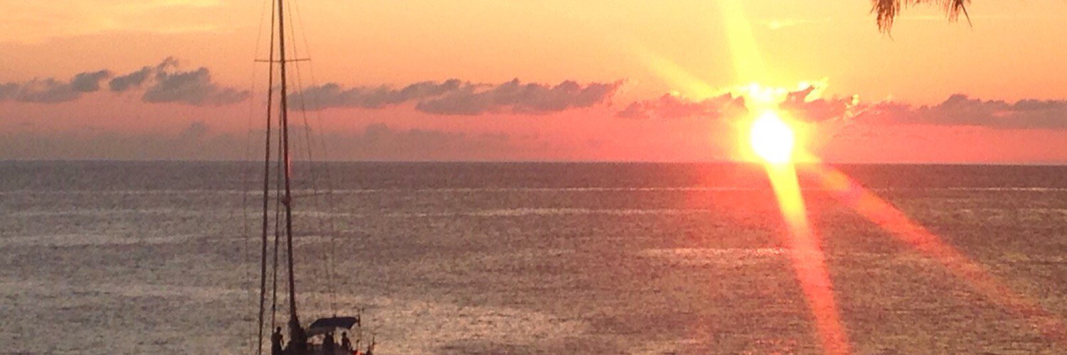 Siebrown23's profile banner image