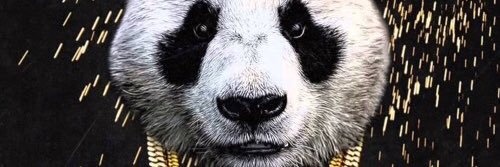drunkpanda123's profile banner image