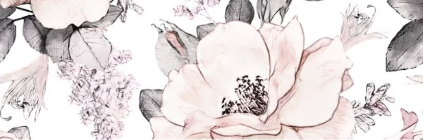 Stephanie banner