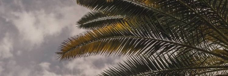 hapjanuari's profile banner image