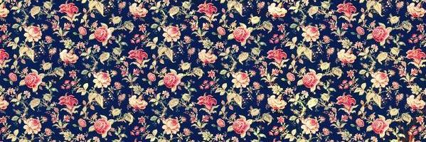 nenabosch's profile banner image