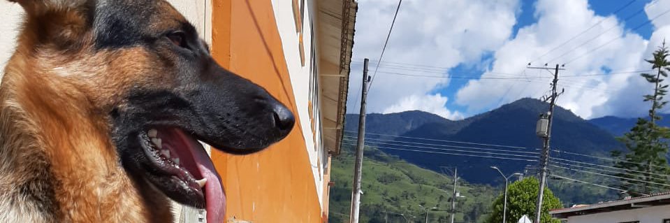 LizhetPerdomo2's profile banner image