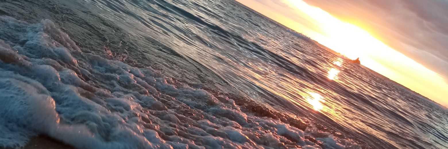 Aleman19_'s profile banner image