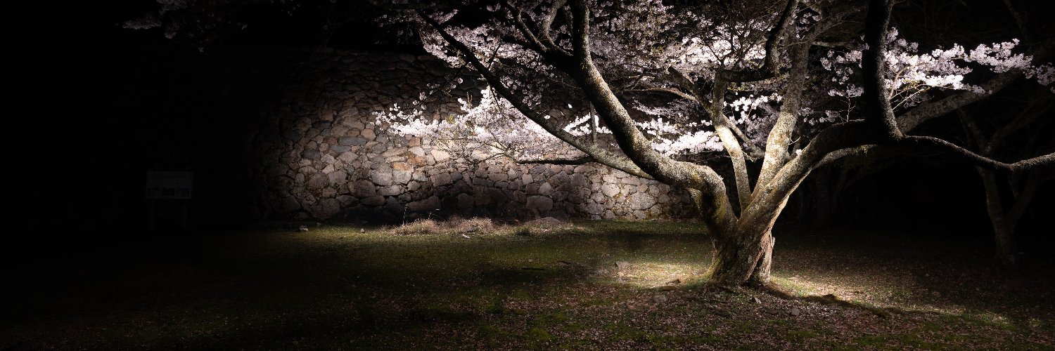 yosuke_kingyo's profile banner image