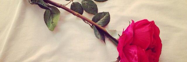a_assm's profile banner image