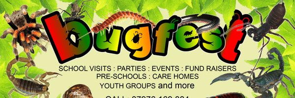 Bugfest 🦂 Profile Banner
