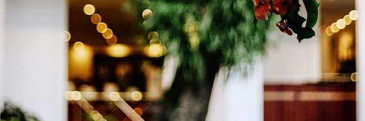 Smayah_'s profile banner image