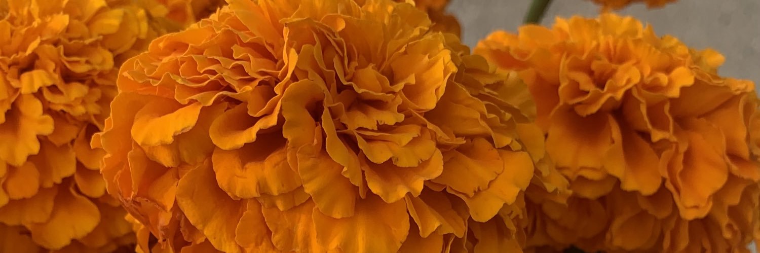 jasmohhh's profile banner image