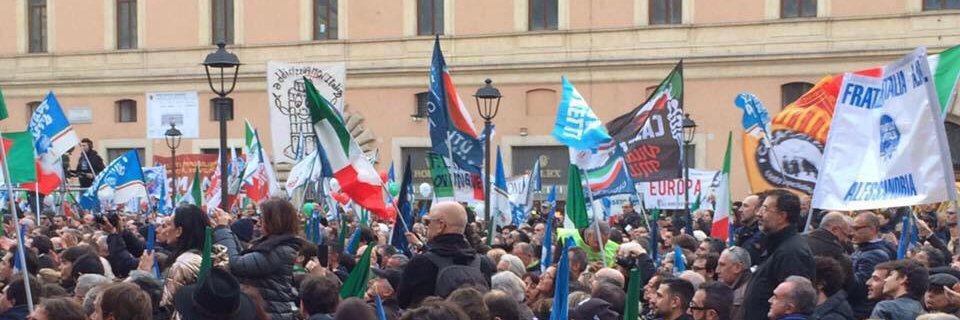 Max DE JULIIS banner