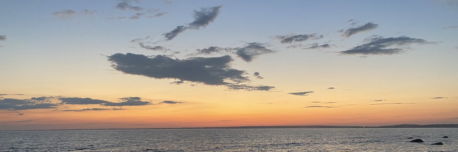 Emily_Verville's profile banner image