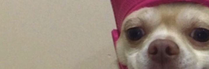 PapaBen_'s profile banner image