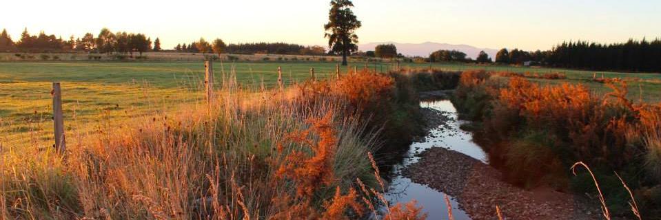 katyardagh's profile banner image