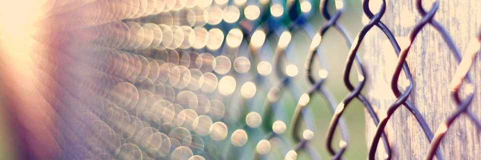 phoenix_laiteu's profile banner image