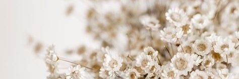 ailey222's profile banner image