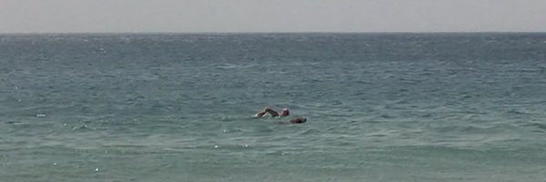 ProfMattEngland Profile Banner