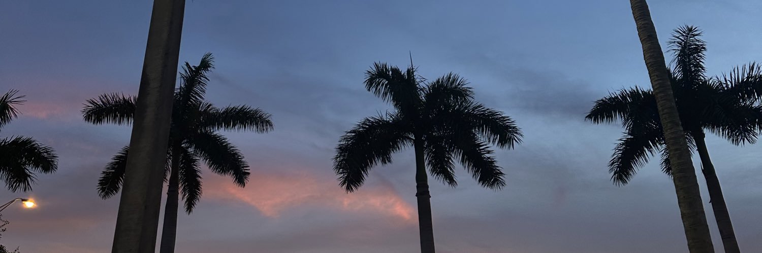 prisxillaa_'s profile banner image